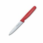 Victorinox Swiss Classic Paring Knife Plain – 10 cm
